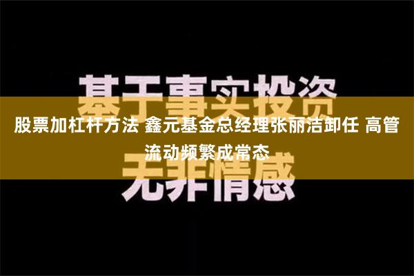 股票加杠杆方法 鑫元基金总经理张丽洁卸任 高管流动频繁成常态