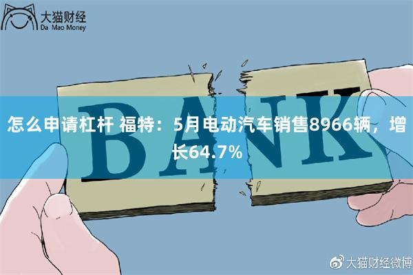 怎么申请杠杆 福特：5月电动汽车销售8966辆，增长64.7%