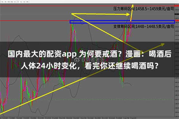 国内最大的配资app 为何要戒酒？漫画：喝酒后人体24小时变化，看完你还继续喝酒吗？