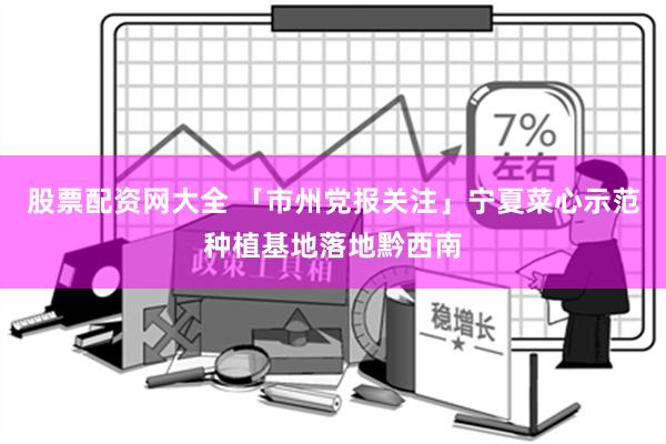 股票配资网大全 「市州党报关注」宁夏菜心示范种植基地落地黔西南