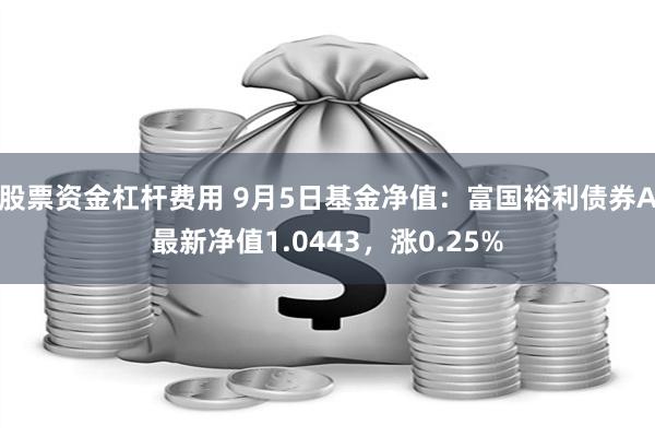 股票资金杠杆费用 9月5日基金净值：富国裕利债券A最新净值1.0443，涨0.25%