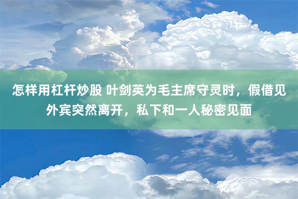 怎样用杠杆炒股 叶剑英为毛主席守灵时，假借见外宾突然离开，私下和一人秘密见面