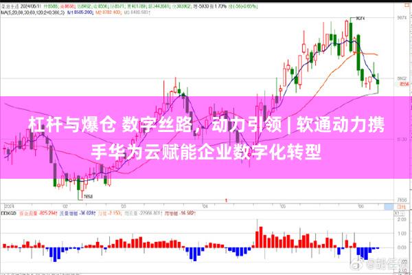 杠杆与爆仓 数字丝路，动力引领 | 软通动力携手华为云赋能企业数字化转型