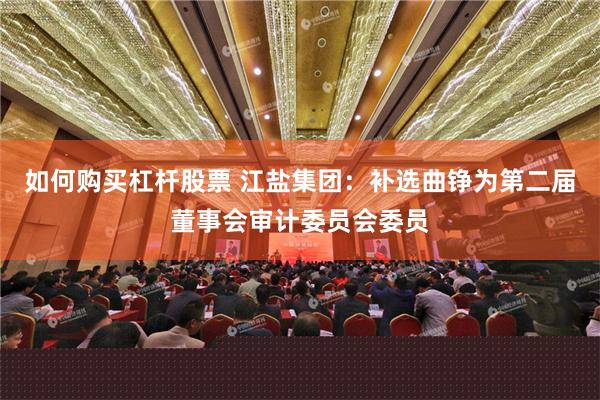 如何购买杠杆股票 江盐集团：补选曲铮为第二届董事会审计委员会委员