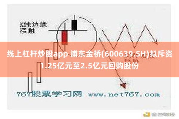 线上杠杆炒股app 浦东金桥(600639.SH)拟斥资1.25亿元至2.5亿元回购股份