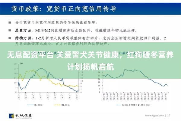 无息配资平台 关爱警犬关节健康，红狗暖冬营养计划扬帆启航