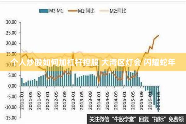 个人炒股如何加杠杆控股 大湾区灯会 闪耀蛇年