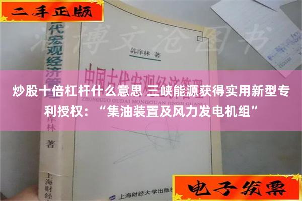 炒股十倍杠杆什么意思 三峡能源获得实用新型专利授权：“集油装置及风力发电机组”